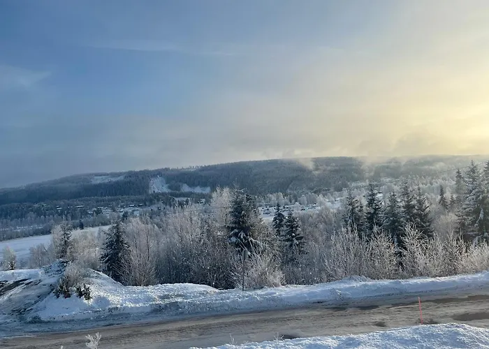 Stue, Soverom Og Bad